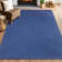 Indoor Rug