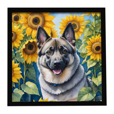 «Elkhound norvégien avec tournesols», reproduction d'art encadrée