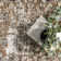 Aagna Distressed Medallion Power Loom Performance Brown/Gray/Ivory Rug