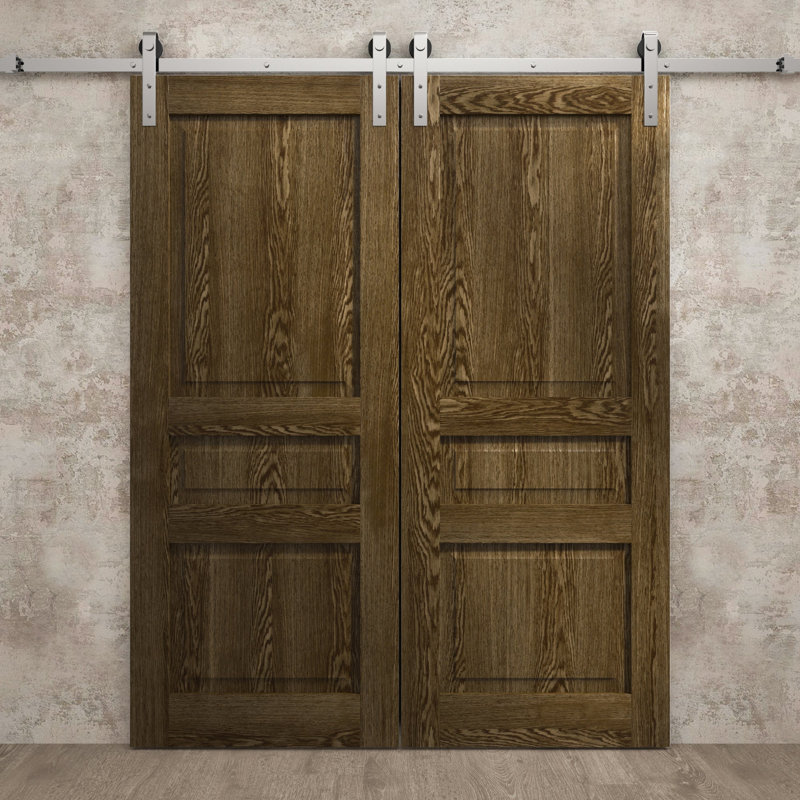 Porte de grange double moderne | Ego 5012 | Ensemble de rail argenté | Portes intérieures solides, 36 po x 80 po