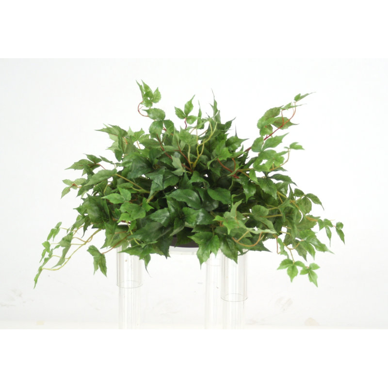 Table de bureau en pot à fleurs en érable ivy