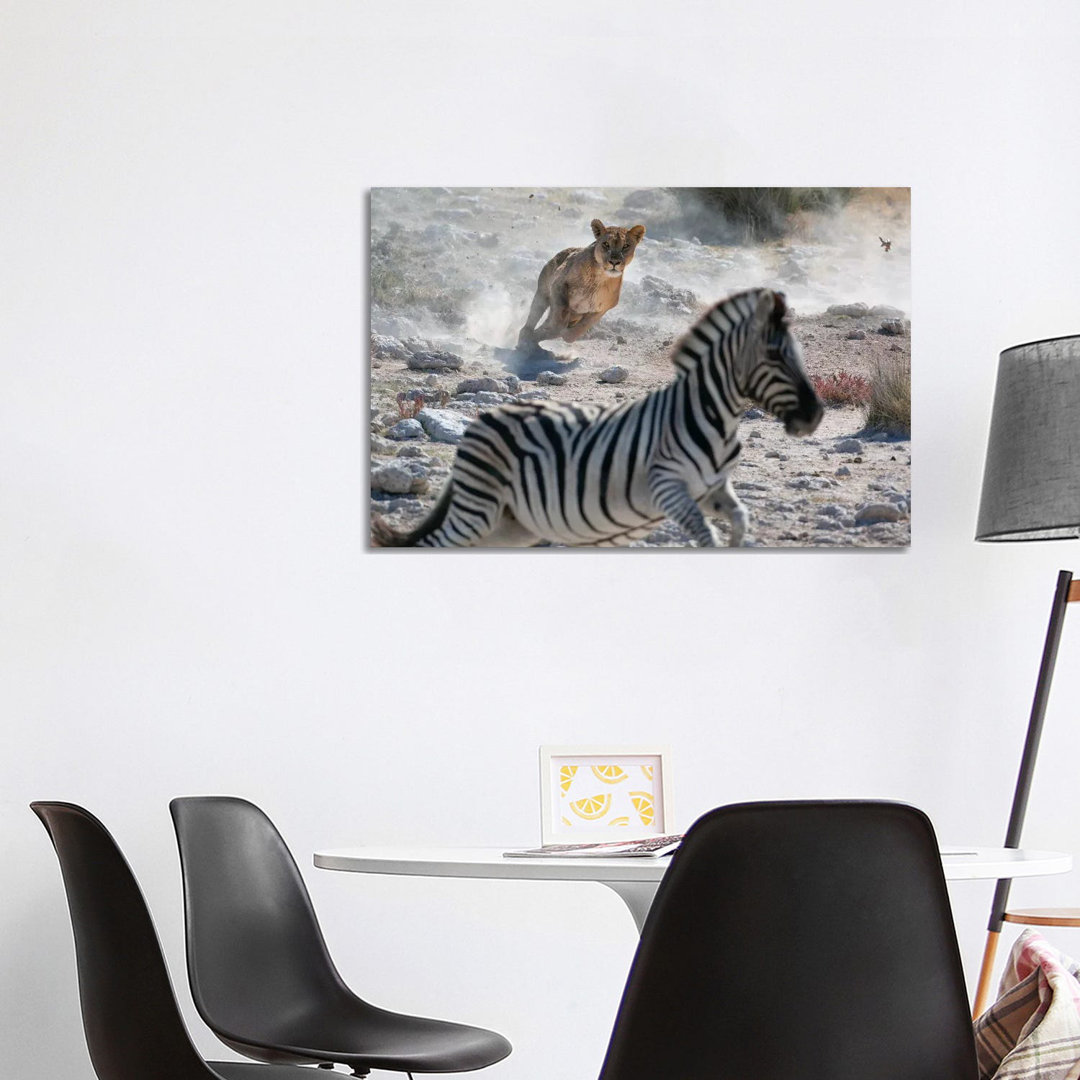 Lion Hunting Zebra by Mogens Trolle - Wrapped Canvas Print