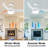 Small-CF 42'' Ceiling Fan with LED Lights-1231769032