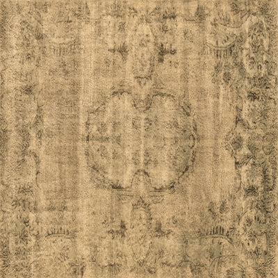 Haaniya Oriental Indoor Rug