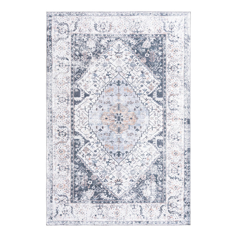 Oluremi Oriental Indoor Rug, Rectangle 6' x 9'