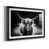 Black Framed