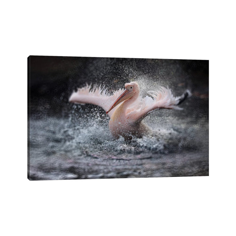 Bathing Fun by Antje Wenner-Braun - Wrapped Canvas Print, 20.32cm H x 30.48cm W x 1.91cm D