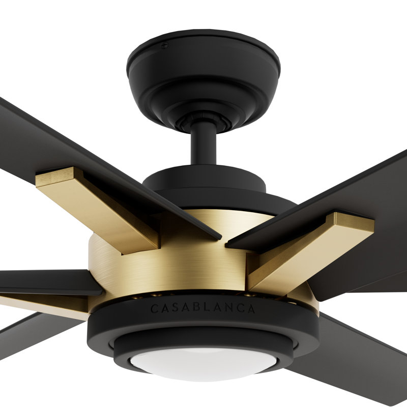Casablanca 65 inch Melia ENERGY STAR®  Damp Rated Ceiling Fan with or without Lights and Wall Control, Black/Gold