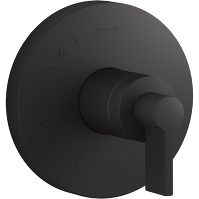 Components™ Rite-Temp® Shower Valve Trim with Lever Handle