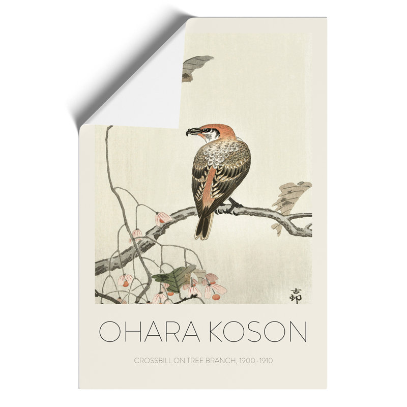 Crossbill on a Tree Branch Print by Ohara Koson - Frameless Print, 59cm H x 42cm W x 0.1cm D