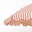 Wanza Umbrella