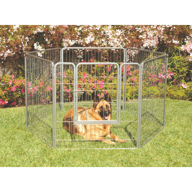 Eunice 36'' H Panel Metal Exercise Pen