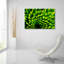 «Green Design 1» par PhotoINC Studio-1282689470