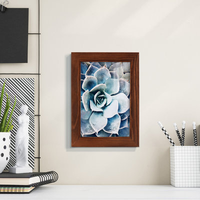 Pastel Succulent Beauty III, encadré sur papier