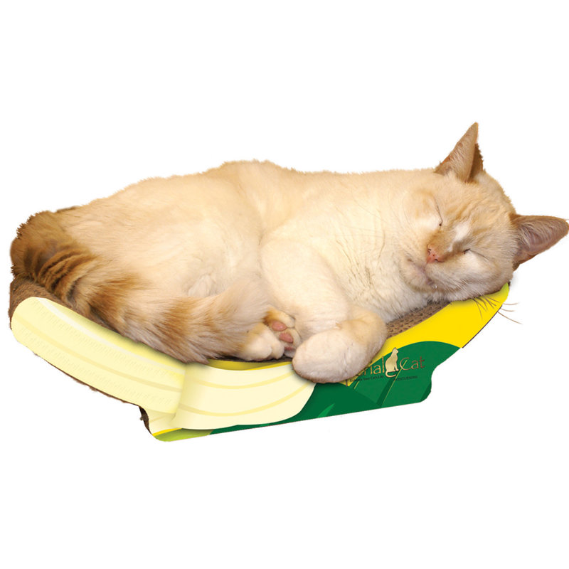 Chinn Scratching Post