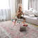 Tramone Oriental Indoor Rug