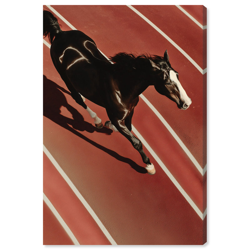Velocity Vector Print by Oliver Gal, 10"H x 15"W, Gallery Wrapped