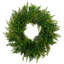 Fern Artificial Spring Twig Wreath - 28"