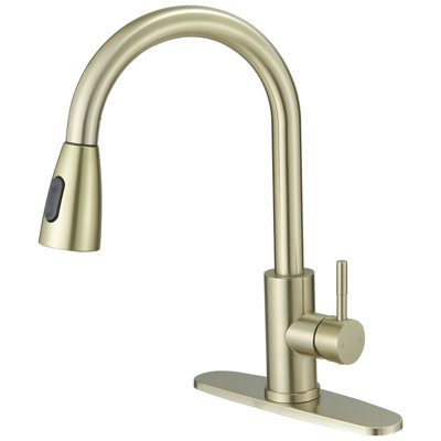 VIBRANTBATH Pull Out Kitchen Faucet