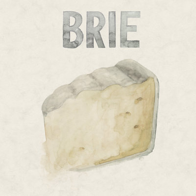 Fromage III 1 Piece Wrapped Canvas Painting