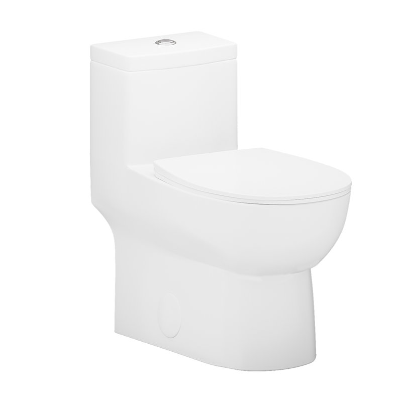 Toilette une pièce à double chasse