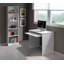 Meziah Standard Bookcase