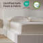 Structure de lit plateforme tapissier en mousse de chenille moderne, rembourrage en mousse de 5 pouces, sans sommier, facile à assembler-126016549-126016546