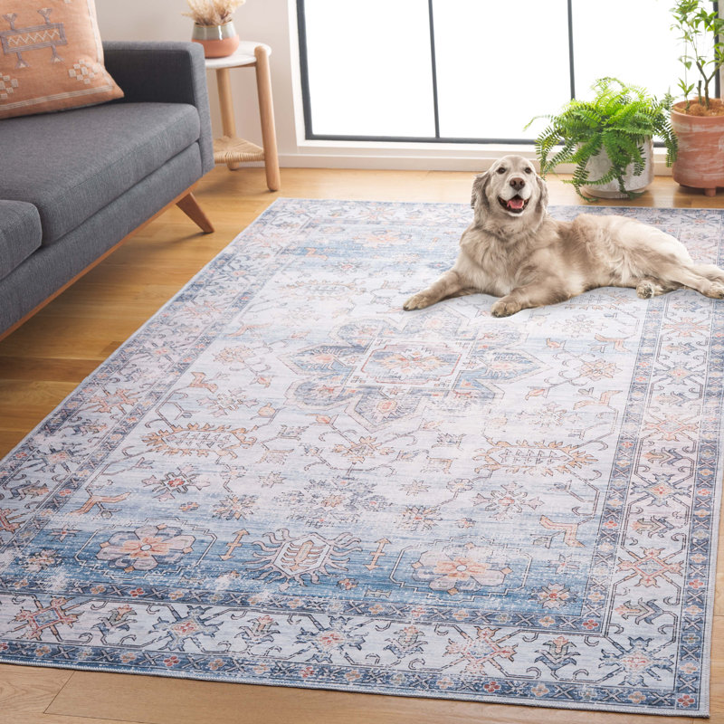 Rayniya Performance Machine Washable Oriental Rug, Rectangle 5' x 8'