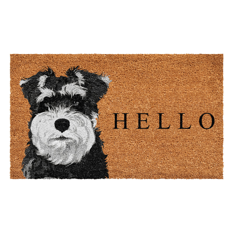 Non-Slip Door Mat, 17" W x  29" L
