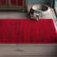 Tapis rouge / noir Riebe-33394241