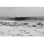Seaspray Print by Barclay Butera-30726484