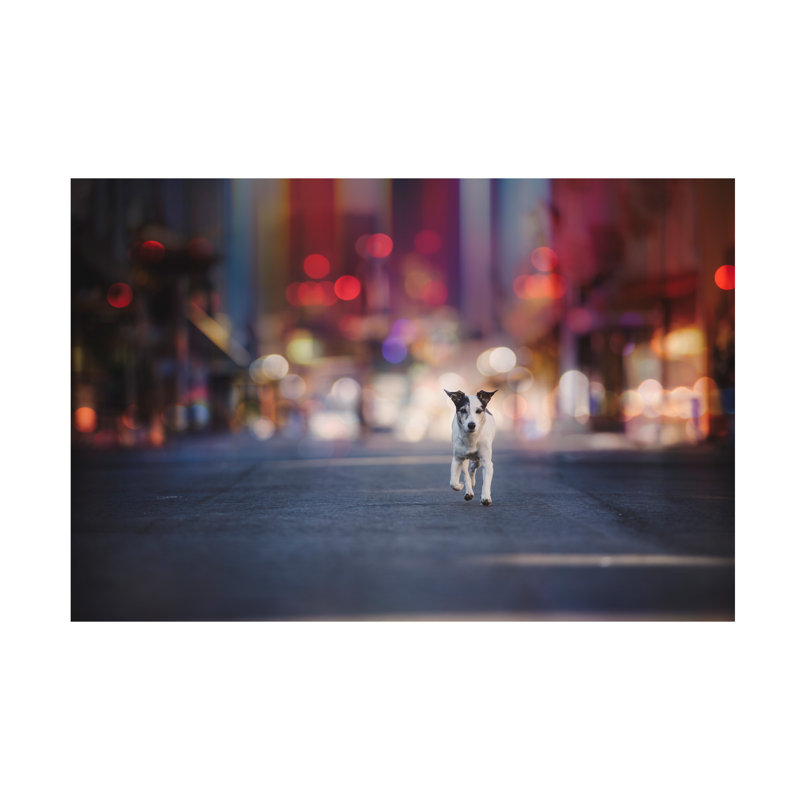 Art sur toile, «Heike boling boling, Las Vegas», H 12 po x l 19 po