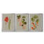 «Botanical Array IV», ensemble de 3 impressions sur toile encadrées-179205351-179205350