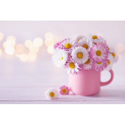 Bouquet Of English Daisy by Julia_Sudnitskaya - Wrapped Canvas Print