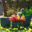 High quality ceramic flowerpot