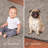 Modern Plush Pet and Kids Friendly Solid Color Area Rugs, Stain & Fade Resistance, Bedroom, Playroom and Kidsroom, Event, Wedding, Perfect for Living Room, Dining Room, Beige Rug-1533896231