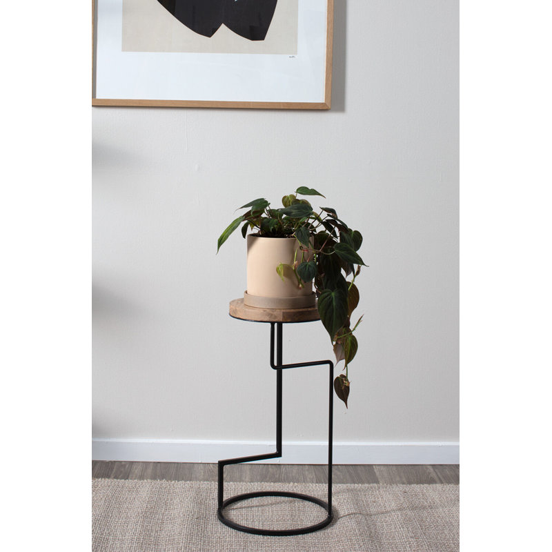 Wassily Plant Stand