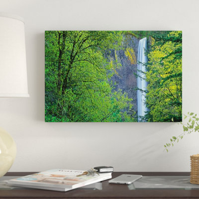 Latourell Falls, Columbia River Gorge près de Portland, Oregon III par Tim Fitzharris - impression d'art graphique