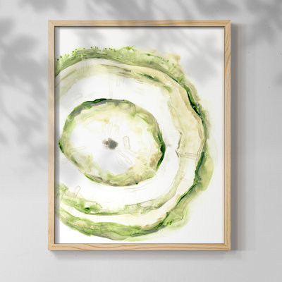 Lichen Halo III Framed Print - Solid Wood