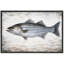 Œuvre rayée, photos de poissons côtiers, impression sur toile encadrée-126013847-126013849