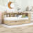 Postfield Twin Storage Platform Bed with Trundle, USB Ports and Shelves-198051545