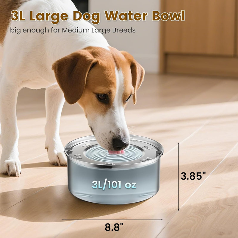Bouchon d'eau pour chien en acier inoxydable, 0.79Gal