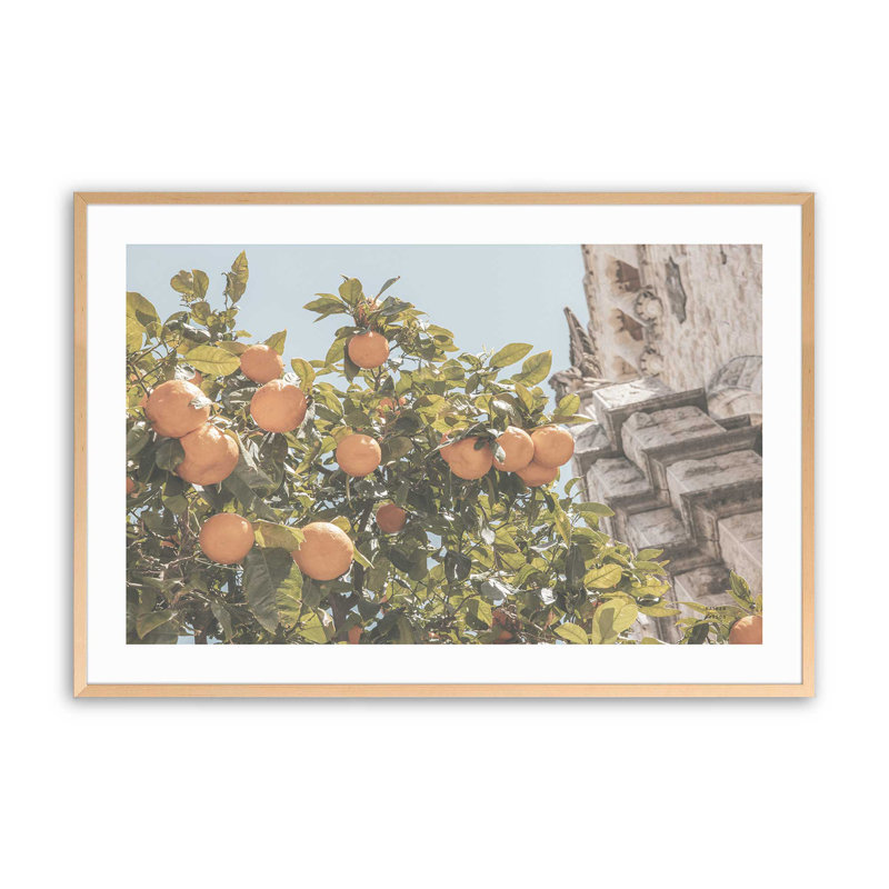 «Méditerranée Citrus Grove», Érable brut, H 13 po x l 17 po