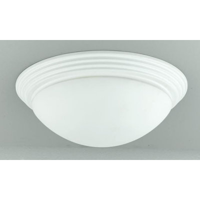 Bruyn Acrylic Flush Mount
