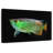 Green Arowana Fish-33264401