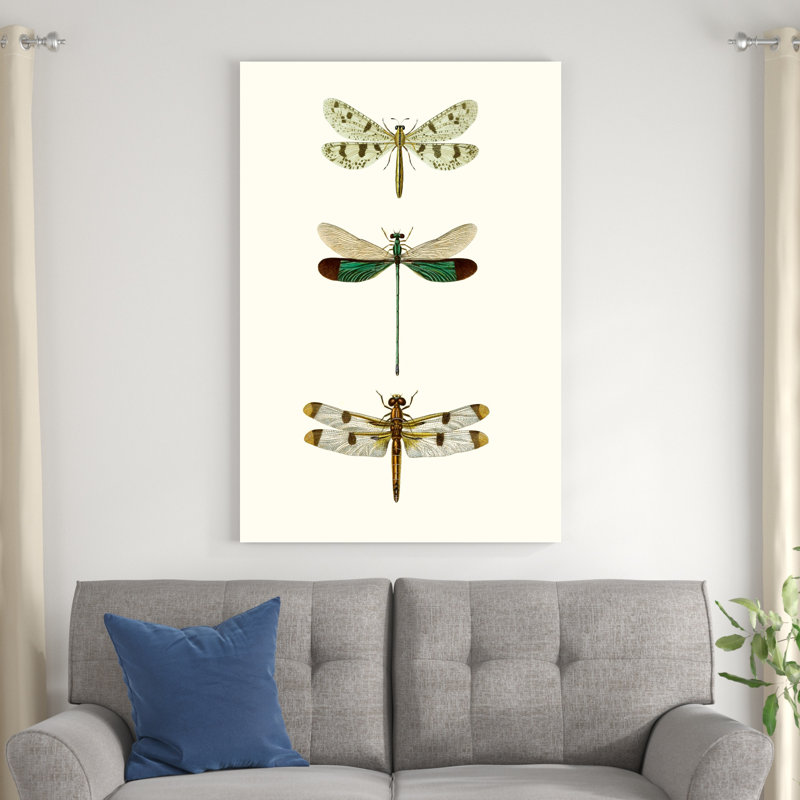 «Entomology Series VII», peinture sur toile, H 48 po x l 32 po