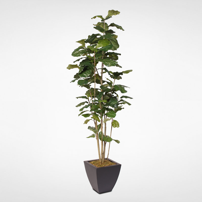 74'' Faux Fiddle Leaf Fig Tree in Metal Planter