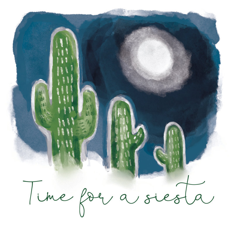 Siesta Cactus - Wrapped Canvas Painting, 51cm H x 51cm W x 3.8cm D