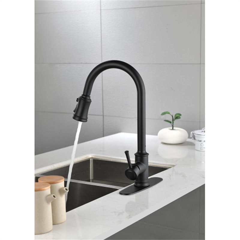 Robinet de cuisine rétractable à poignée simple avec accessoires