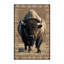 Tapis lavable American Bison-1655460711